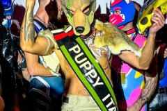 PuppyItalia2022-36