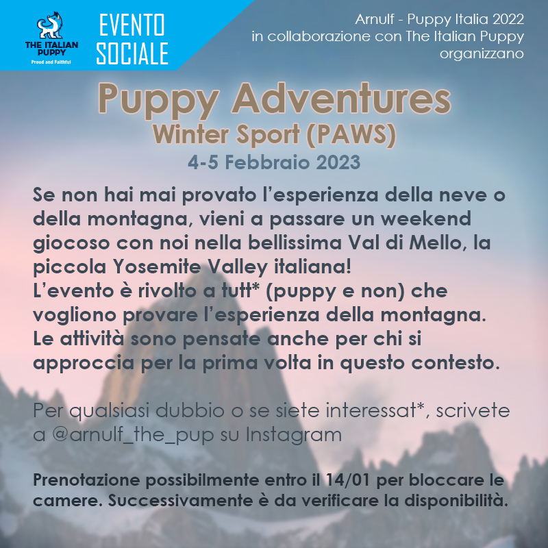 Puppy Winter Games 1