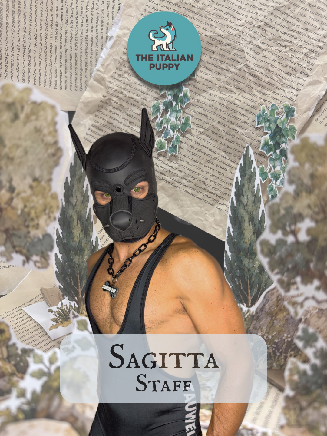Sagitta